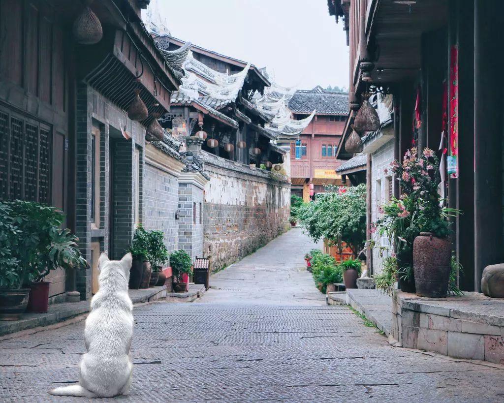 超黄金街霸3